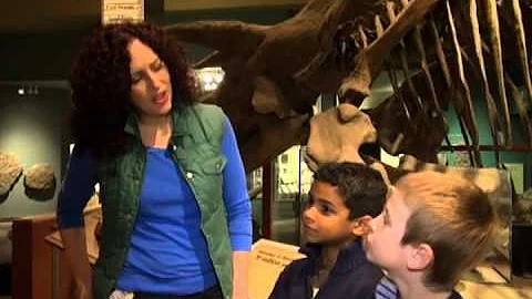 Field Trip - Dinosaurs!