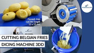 Belgian Fries Cutting Machine | Cuts Potatoes Into Belgian Fries