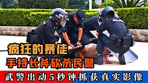 江西警方抓捕暴徒真實影像，手持長斧砍殺民警，武警出動5秒抓獲 - 天天要聞