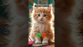 Russia calling #ringtone #cat #trending #cutecat #youtubeshorts #viralshort #calling #kitten
