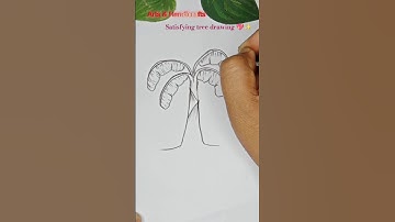 banana tree drawing very easy for beginners  💖✨ #shorts  #drawing #tree #ashortaday #banana #art