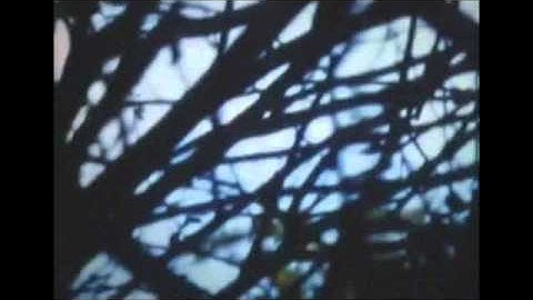 SUBMISSION: SETTING SUN