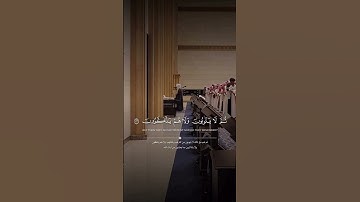 "تلاوة مميزة تأسر القلوب | الشيخ محمد ابا الحسن" 🤍