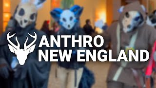 Anthro New England 2023 Fursuit Parade