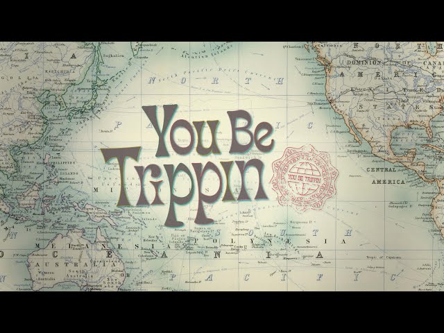 You Be Trippin' Podcast with Ari Shaffir