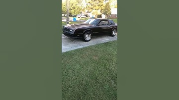 Thumbnail of Walk Wit The 85 Monte Carlo SS