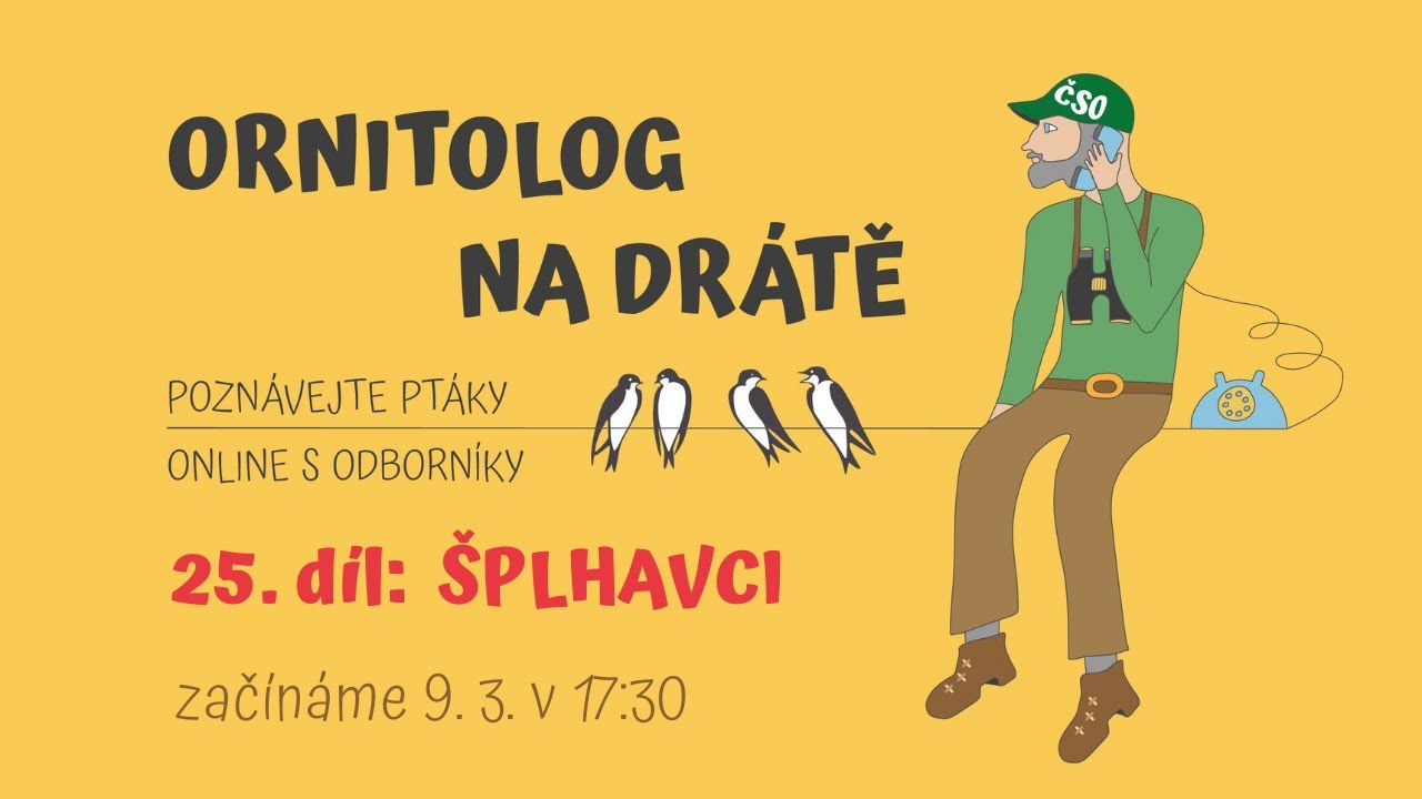 Ornitolog na drátě - 25. díl: Šplhavci