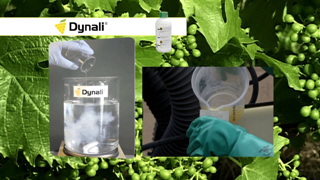 Dynali spot castellano insecticidal dust