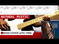 Natural mystic  bob marley  the wailers bass cover  tabs