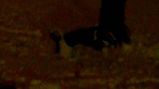 CIMG0234.AVI