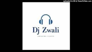 Dj Zwali - NdiyoFel' Emajiten (Slow Jam)