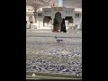 أحيوا س نة التكبيرات تكبيرات من الحرم المدني