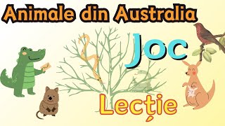 Animale din Australia. Lecție și joc pentru copii!