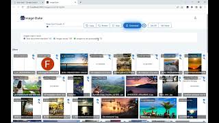 Image Duke - The Ultimate Image Downloader Browser Extension - A Demo screenshot 3