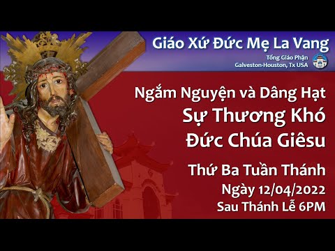 Video Ngắm Nguyện và Dâng Hạt Sự Thương Khó Đức Chúa Giê-su... - youtube