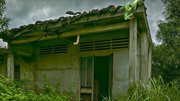 Nguy Hiểm Rình Rập Trong Căn Nhà Bỏ Hoang Còn Nhiều Tài Sản | Cảnh Tê 