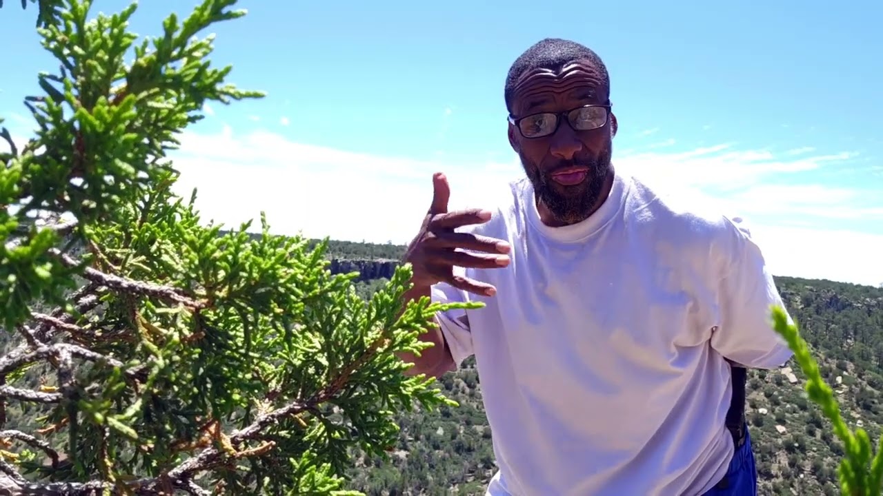 HOW THE WAY OF THE SALAF CHANGED MY LIFE!