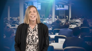 Shaping the Future of Work: Decent Jobs in the Platform Economy