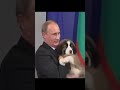 #putin #lider #presidente #rusia President Putin gets new pet. Vladimir loves pets and animals.