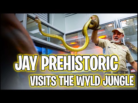 JAY PREHISTORIC VISITS THE WYLD JUNGLE | THE REAL TARZANN