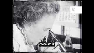 1940s USA Scientists, Laboratory, Microscopes, HD
