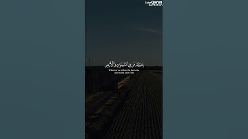 تلاوة خاشعة من سورة الرحمن بصوت الشيخ عمير شميم تهز القلوب وتبكي العيون 🌿📖