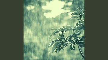 Amazing Moods for Java and Rain