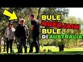 Prank bule ngerjain bule di australia