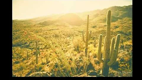 Ray Kelley Band - Tequila Sunrise