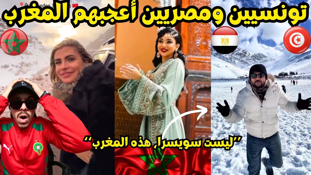 انبهارتونسيين وجزائريين ومصريين بجمال وتطور المغرب🤯
