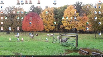 TREE Fund Webinar: Cultivating Innovation