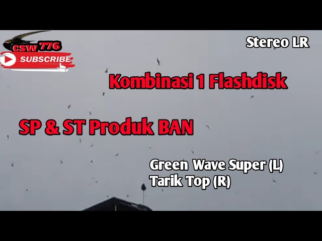 SP GREEN WAVE SUPER STEREO TARIK TOP BAN - Suara Walet Kombinasi SP ST Produk BAN class=