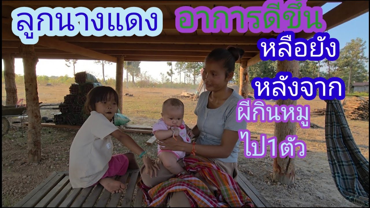 ล่าสุดลูกนางแดงหายดีหลือยังเลื่องผีอยากกินหมู1ตัว🇱🇦❤️🇹🇭