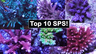 My Top 10 Sps