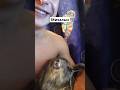 Задумчивый кот #животные#приколы