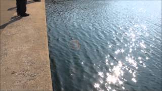 お手頃価格の2013年末最新ランディングシャフト。やっぱメジャクラ！