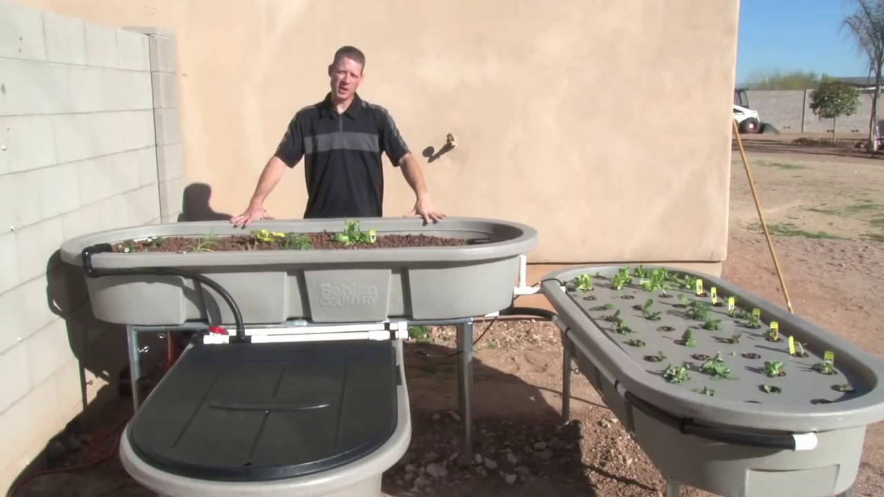 aquaponics garden luxury how does an aquaponics garden work orgranic fishgardens youtube aquaponics garden luxury how does an aquaponics garden work orgranic fishgardens youtube