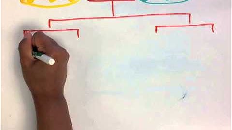 Genetics for Kids: Why do you look like your parents?