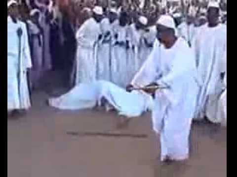 هذا أو المنطق حين يتم تقبيل حذاء الشيخ عادل البراري 