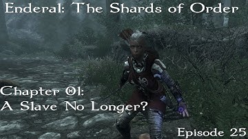 Enderal: The Shards of Order Chapter 1- A Slave No Longer? (Part 25