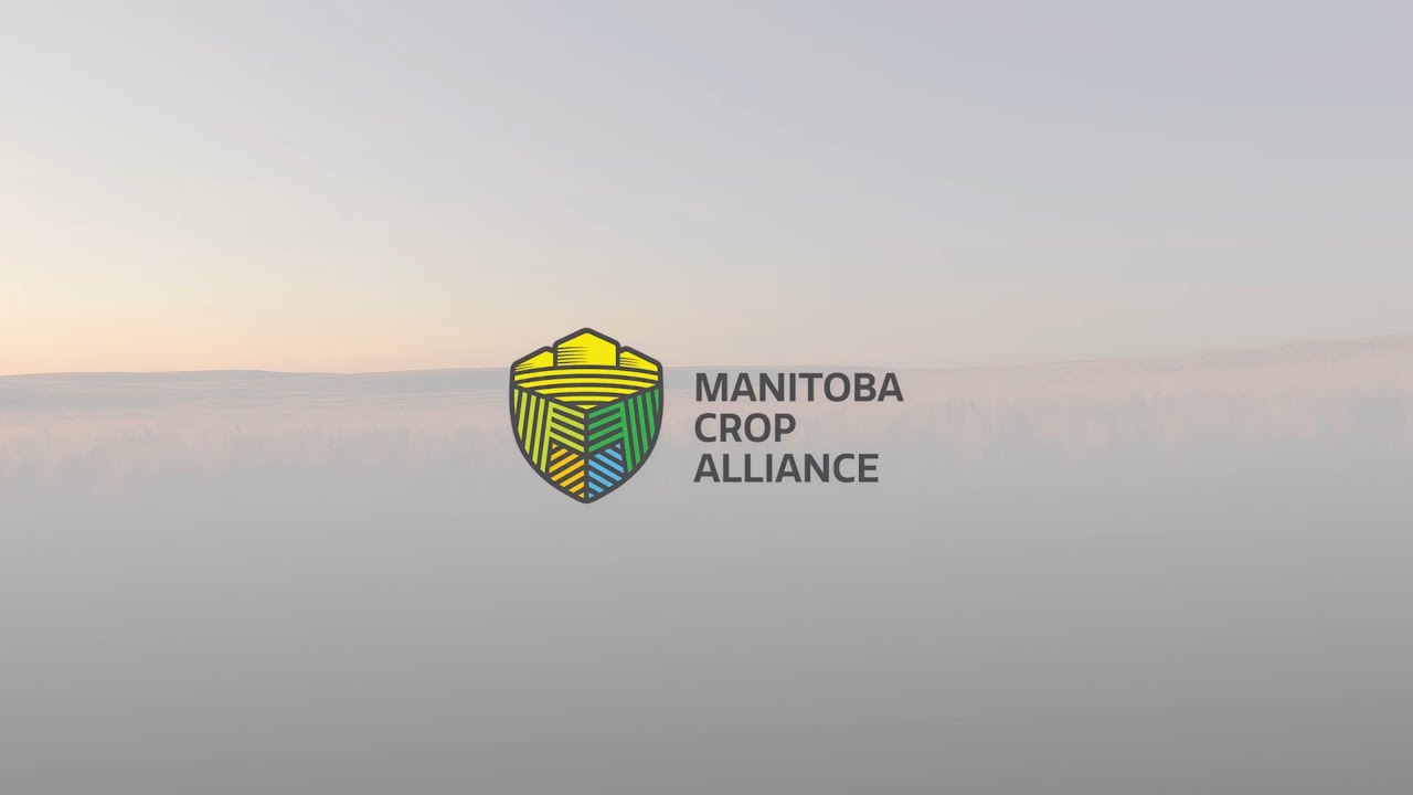 “Variety Licencing 101” – How crop varieties and hybrids are licenced in Canada