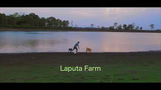 Đi Vào Thiên Nhiên/ Laputa Farm by Laputa Farm 239 views 1 year ago 42 seconds