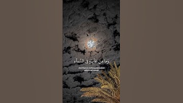 تلاوة جميلة جداً من سورة النمل بصوت القارئ  إسلام صبحي 🩶.