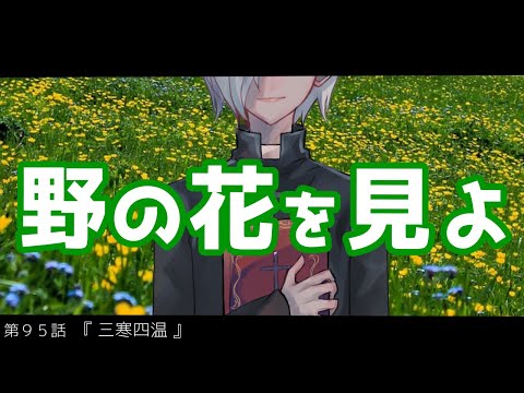 【定期生放送＃95】野の花を見よ