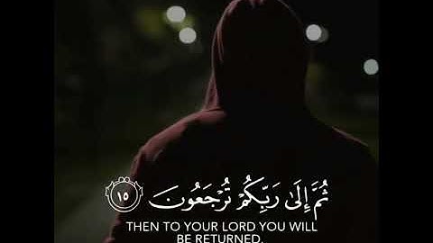 سورة الـجـاثـيـة | Surat Al-Jathiyah