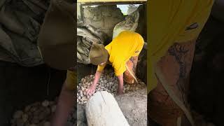 Download Lagu Mendem harta karun (kluwek) 🤣 #klaten MP3