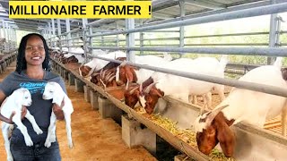 How Many Goats To START A Simple GOAT Farm Business? | Goats Feeds, Hoof Trimming (ROUTINE)