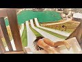ROYAL FLUSH and World's Longest Lazy River  |  BSR Cable Park