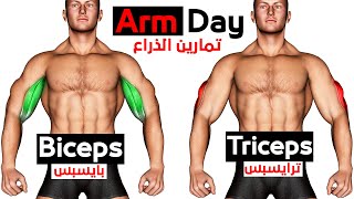 فجر عضلة الذراع بهذه  تمارين باي وتراي 🔥 How To Build Your arms (Biceps-triceps)