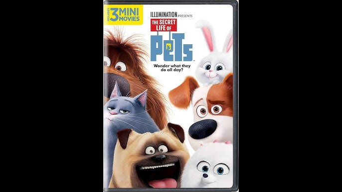 Pets get the last word in latest DVD release